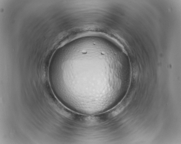 X0000072990261200608111814