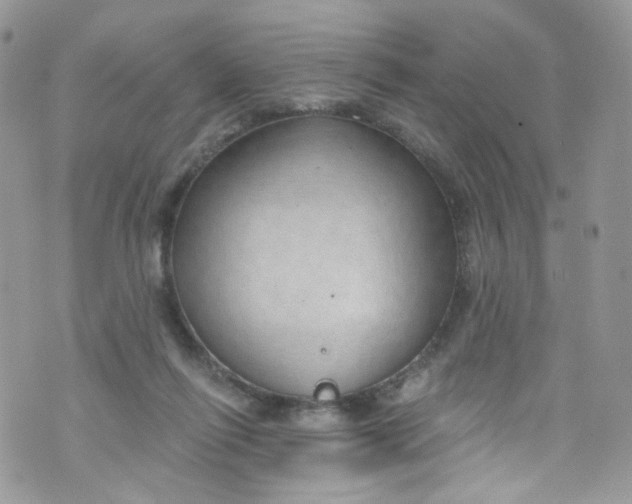 X0000072990262200608111814