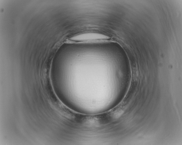 X0000072990263200608111814