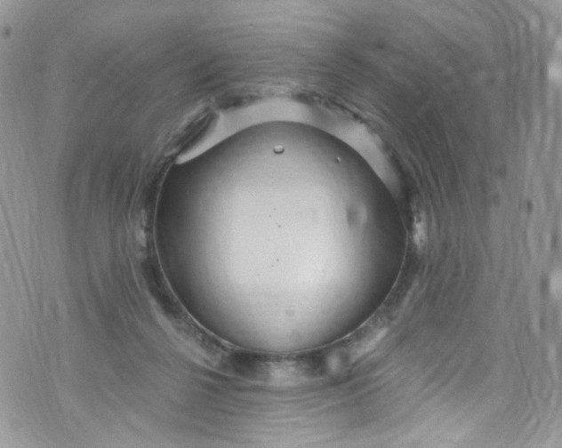 X0000072990264200608111814