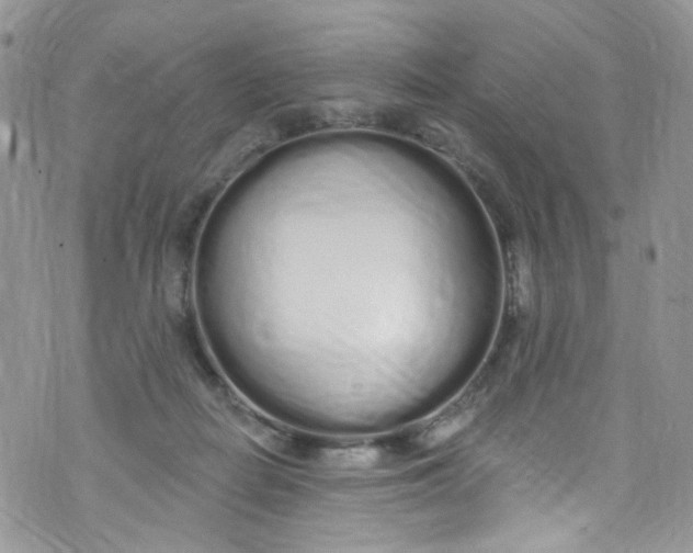 X0000072990266200608111814