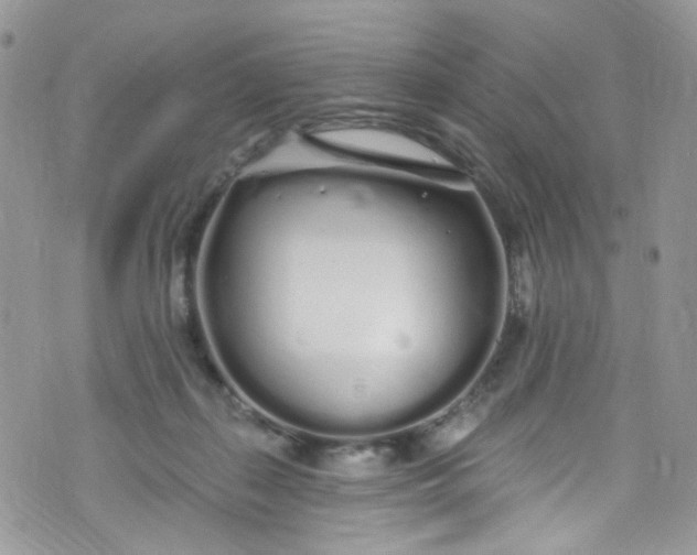 X0000072990267200608111814