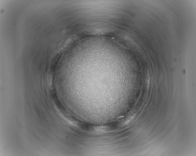 X0000072990268200608111814