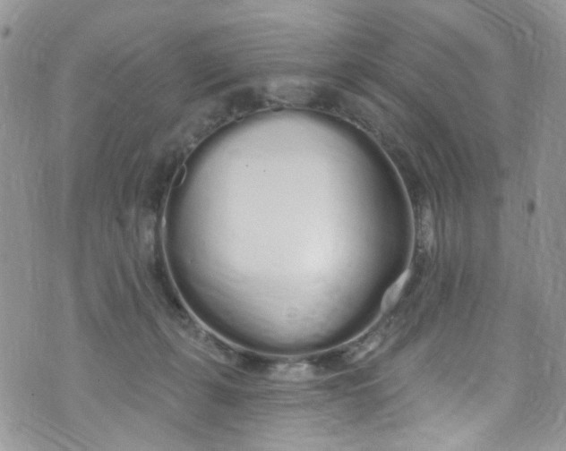 X0000072990271200608111814