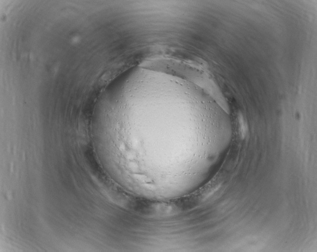 X0000072990272200608111814