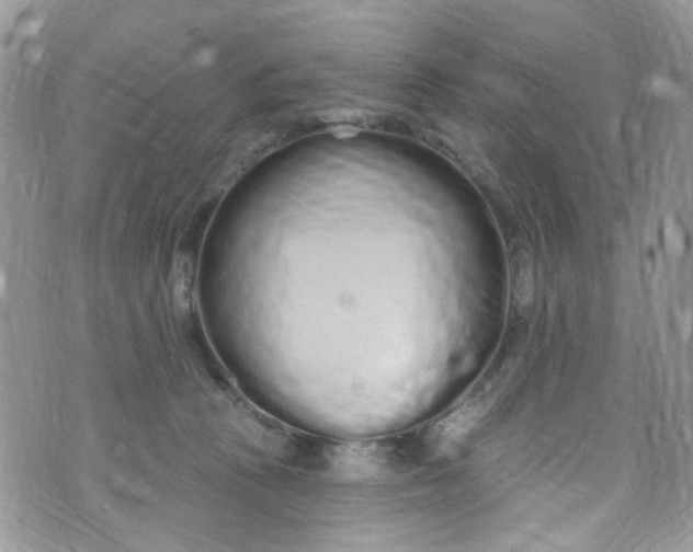 X0000072990273200608111814