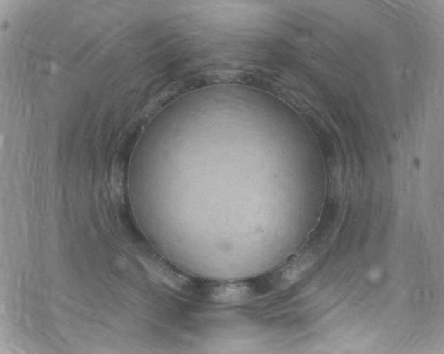 X0000072990274200608111814