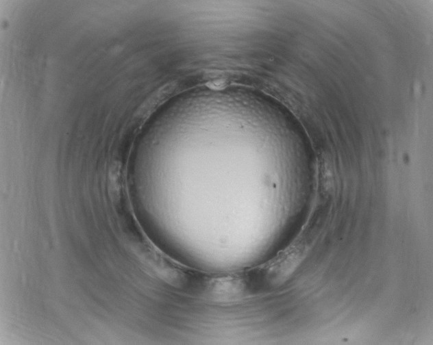 X0000072990275200608111814