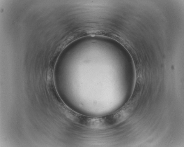 X0000072990277200608111814