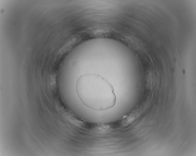 X0000072990278200608111814