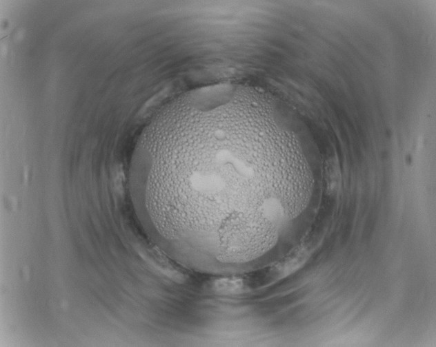 X0000072990279200608111814