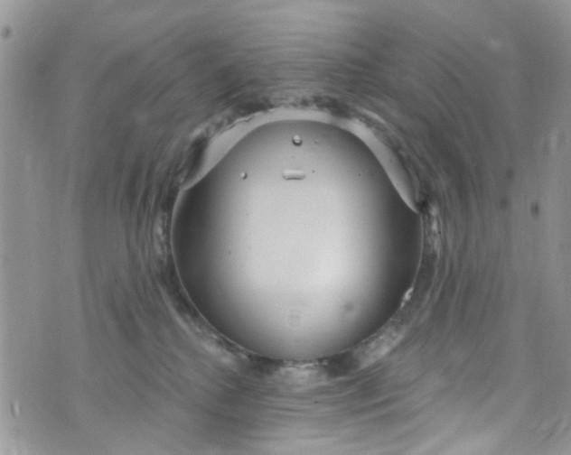 X0000072990280200608111814