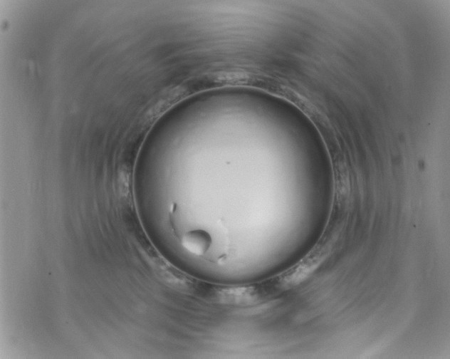 X0000072990281200608111814