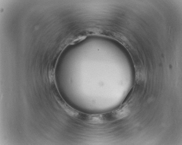 X0000072990285200608111815