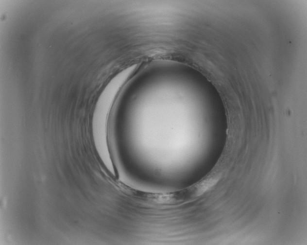 X0000072990288200608111815