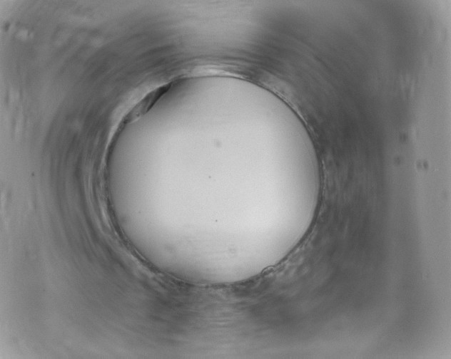 X0000072990289200608111814