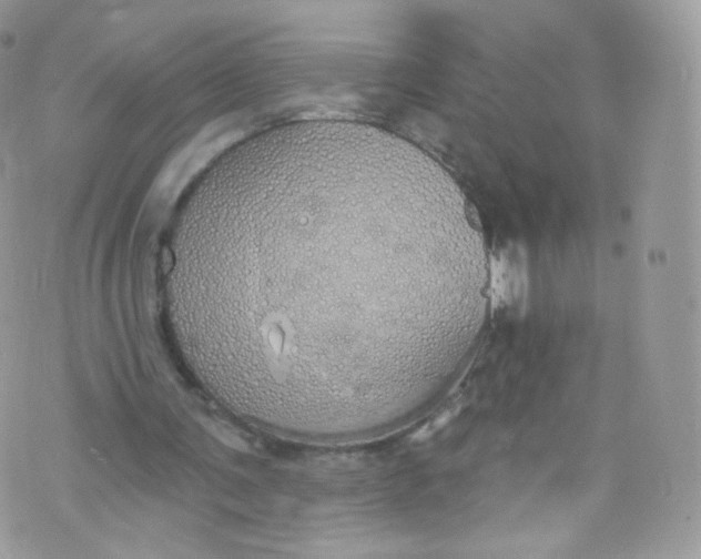 X0000072990291200608111814