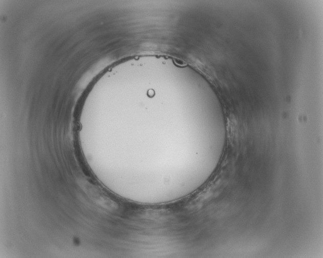 X0000072990292200608111814