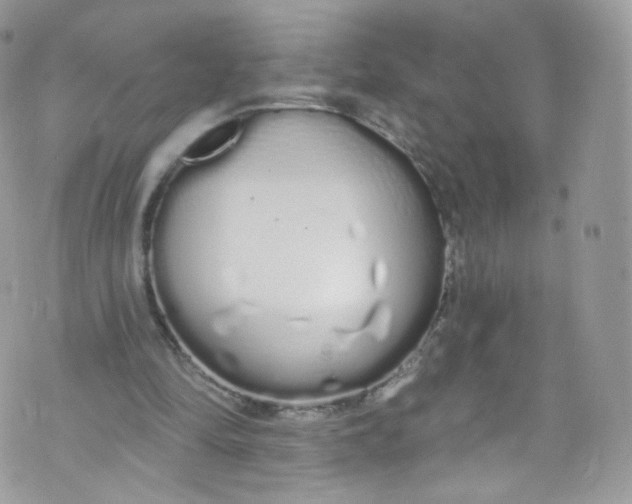 X0000072990294200608111814