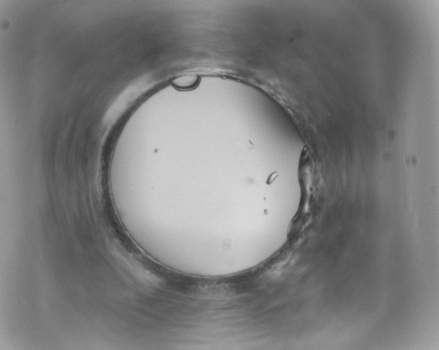 X0000072990296200608111814