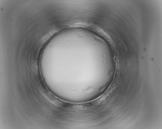 X0000072990298200608111814