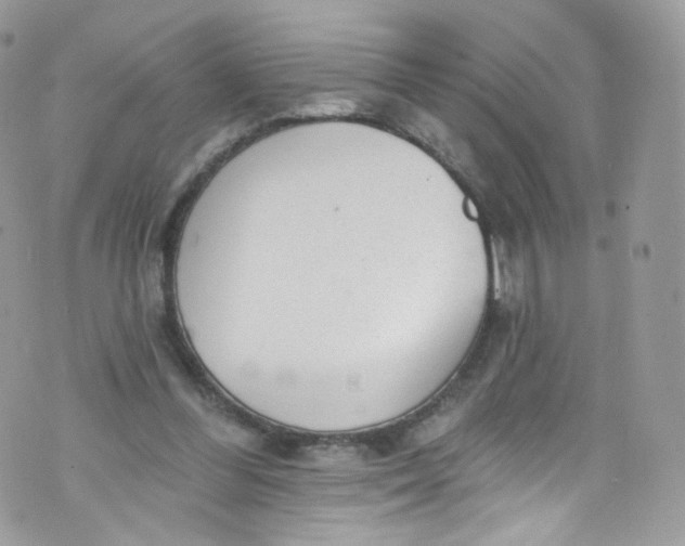 X0000072990300200608111814