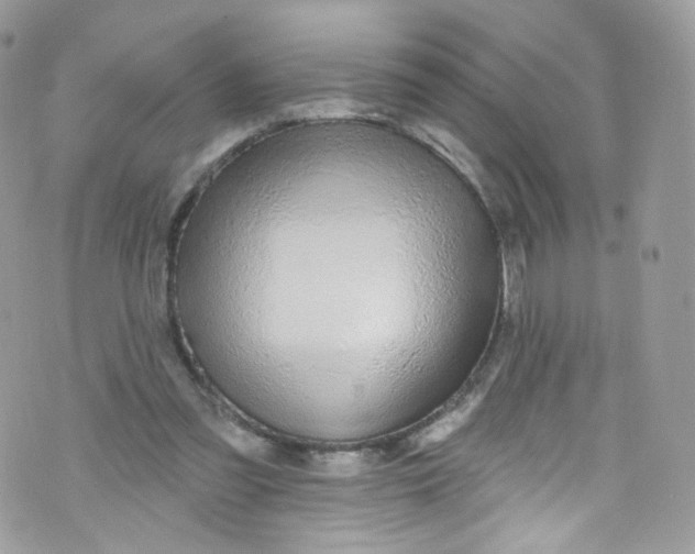 X0000072990301200608111814