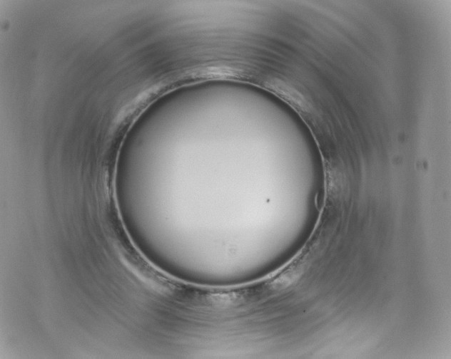 X0000072990302200608111814