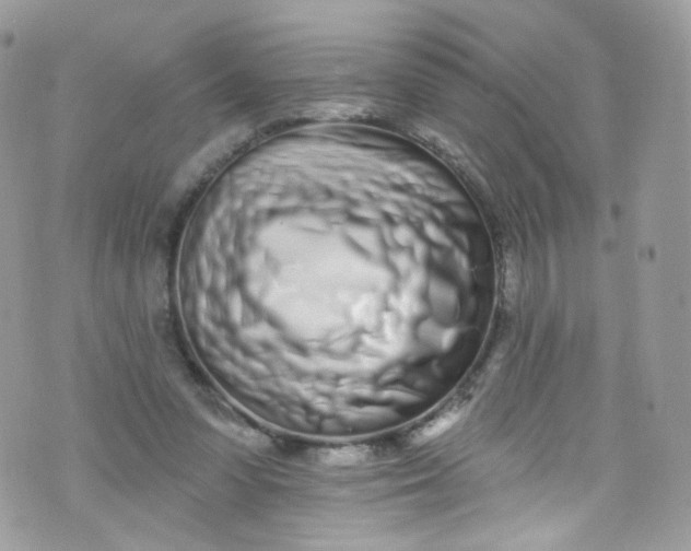 X0000072990303200608111814