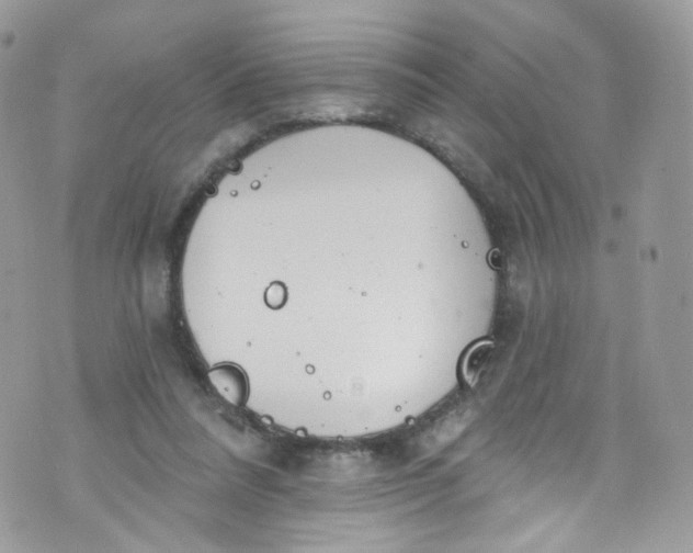 X0000072990304200608111814