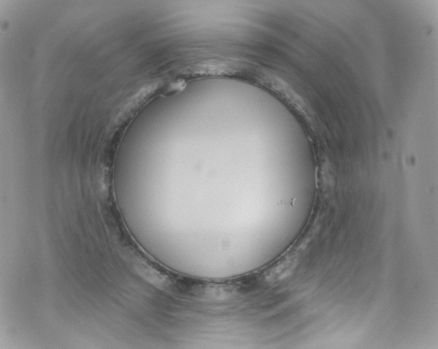 X0000072990305200608111814