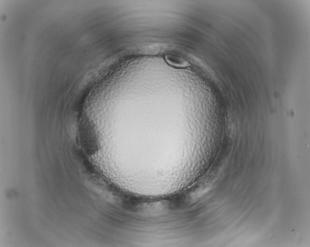 X0000072990307200608111814