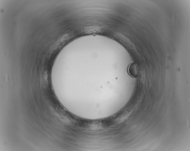 X0000072990308200608111814