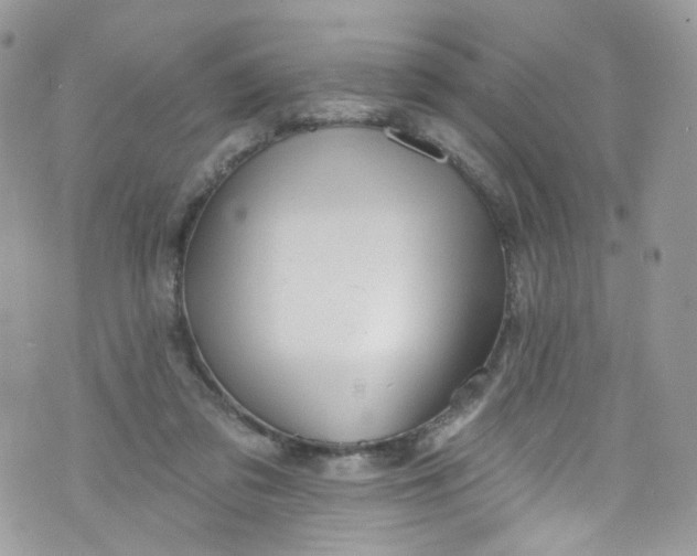 X0000072990309200608111813