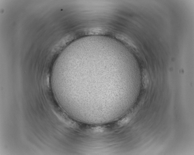 X0000072990310200608111813