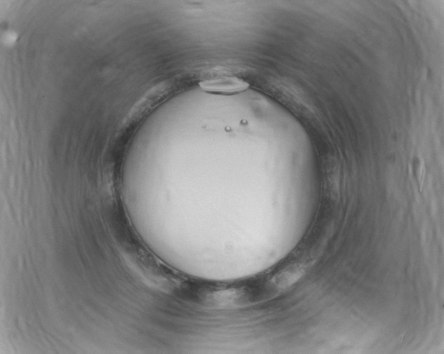 X0000072990312200608111813