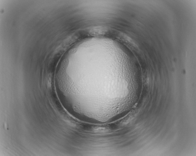 X0000072990315200608111813