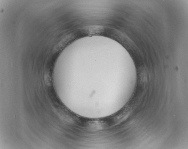 X0000072990316200608111813