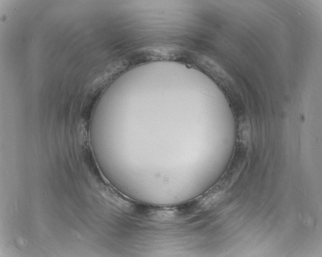 X0000072990318200608111813