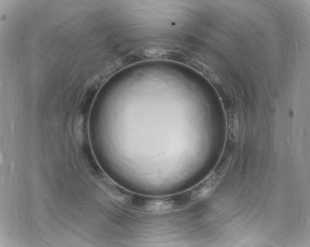 X0000072990319200608111813