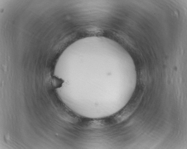 X0000072990320200608111813