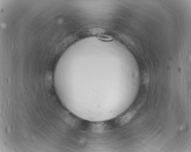 X0000072990321200608111813