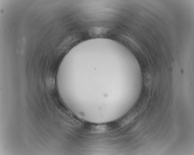 X0000072990324200608111813