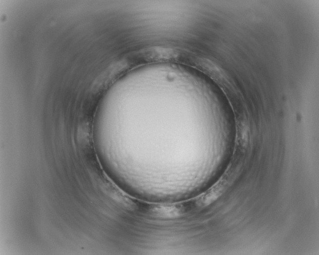 X0000072990326200608111813