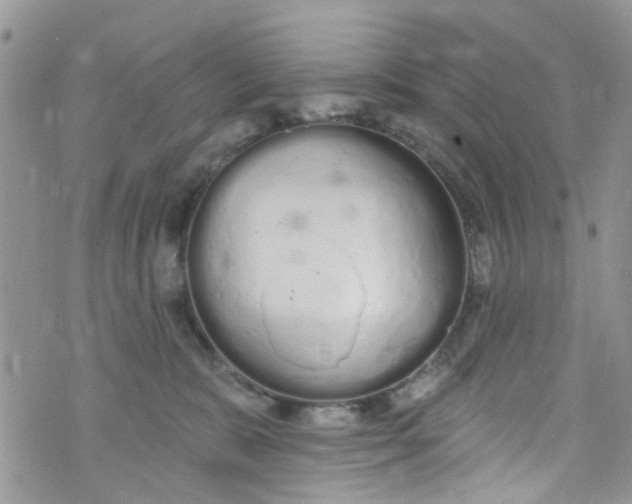 X0000072990327200608111813