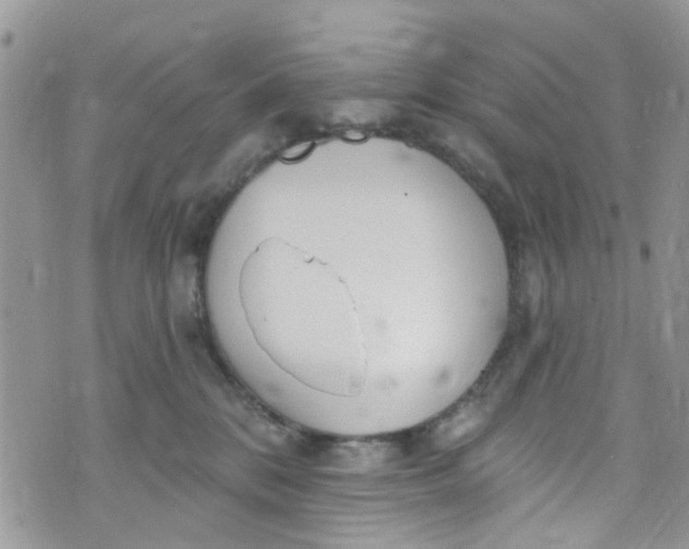 X0000072990328200608111813