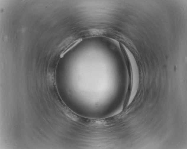 X0000072990329200608111813