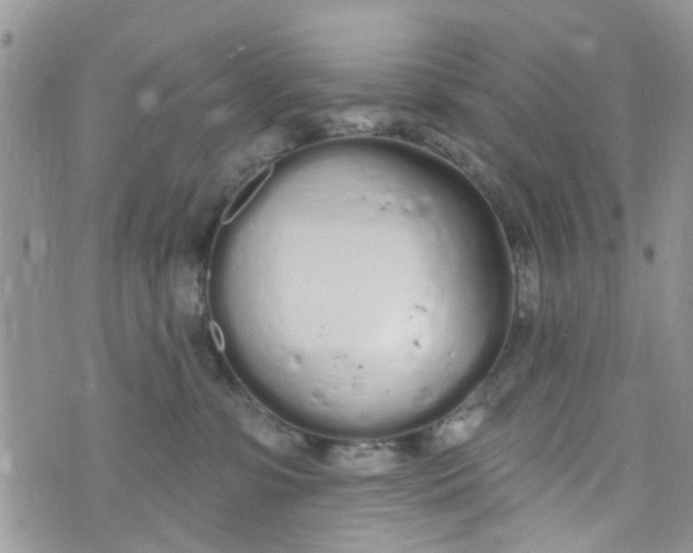 X0000072990331200608111813