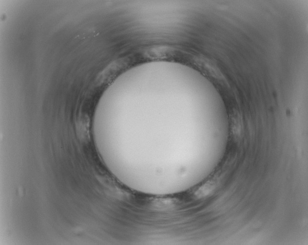 X0000072990332200608111813