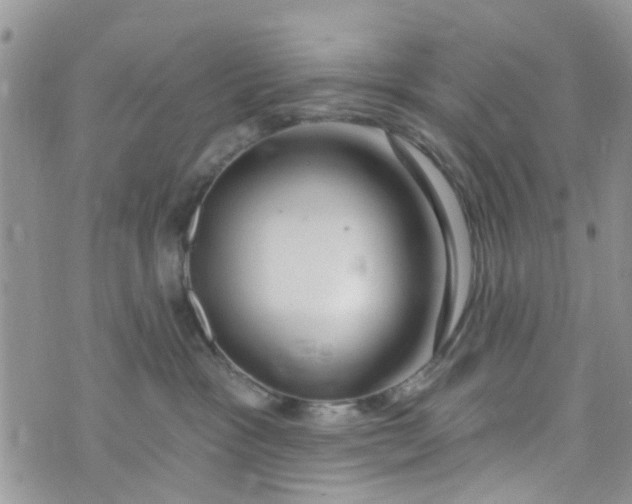 X0000072990333200608111813